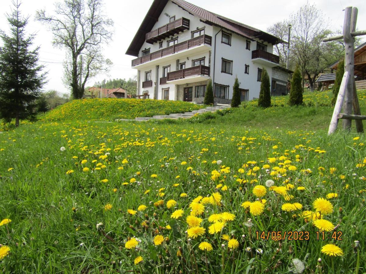 Villa Ograda De La Munte à Bran  Extérieur photo