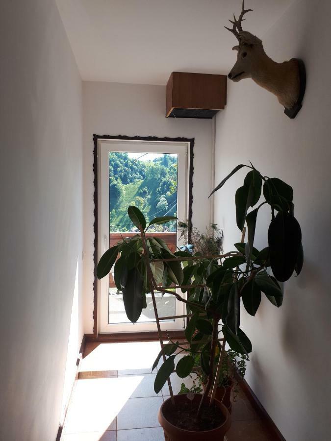 Villa Ograda De La Munte à Bran  Extérieur photo